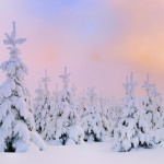 Hintergrundbild Winter 1 Hintergrundbild Winter 1