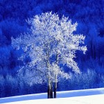 Hintergrundbild Winter 7 Hintergrundbild Winter 7