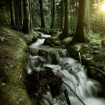 Stream in a forest Hintergrundbild 9 Waterfall Theme für Windows 7