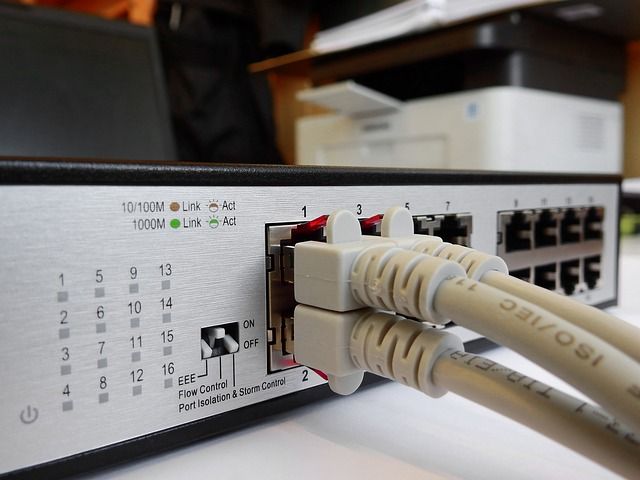 LAN-Kabel in Switch