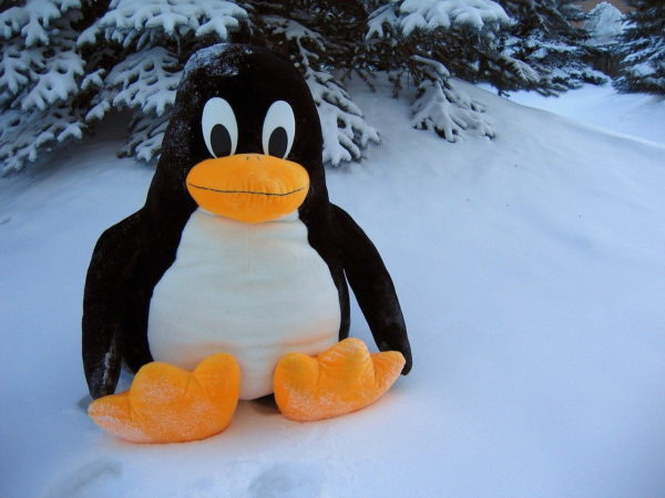 Linux Pinguin Lustig