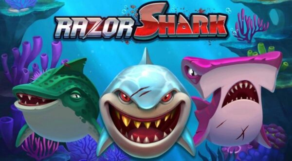 Entdecken Sie neue Spiele: Gaming wird nie langweilig 1 Razor Shark