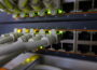 Was macht ein Switch im Netzwerk