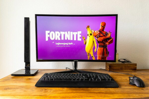 Fortnite Streamer Videospiel