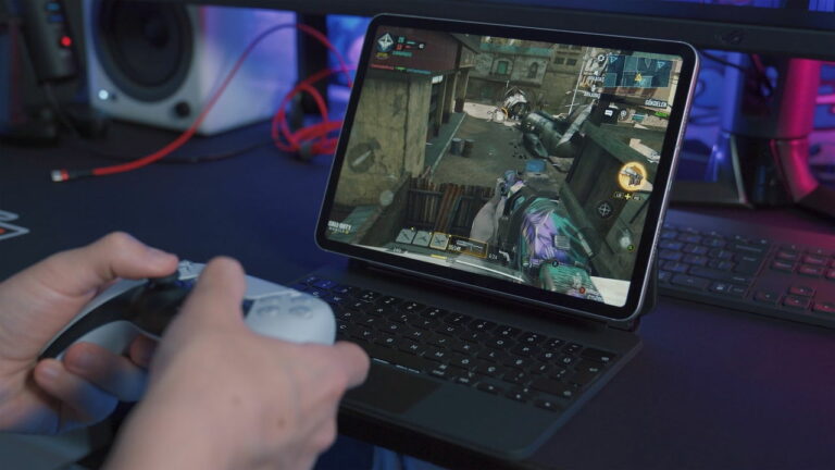 Gamer zockt online