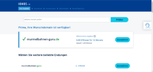 Domain auswählen