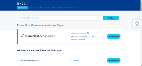 domain auswaehlen Domain auswählen