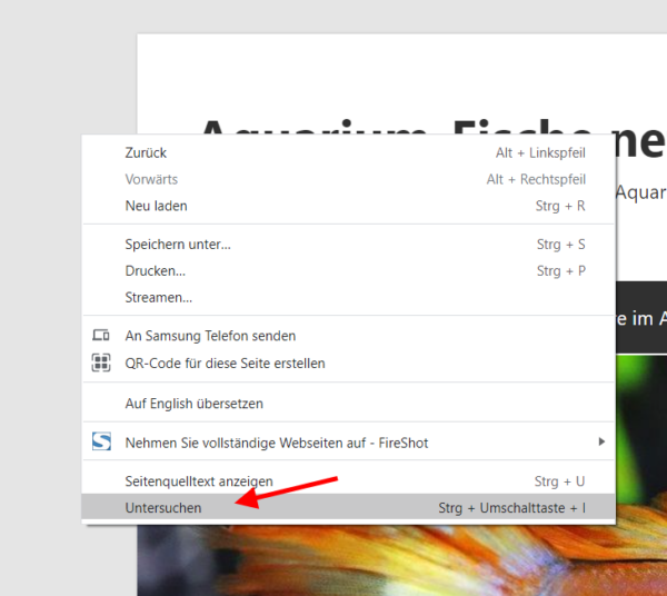 google chrome untersuchen Seite untersuchen im Google Chrome