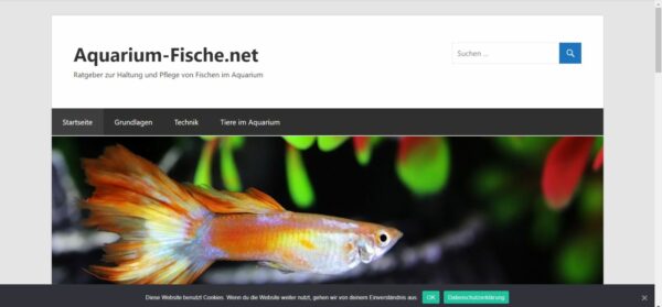 nischenseite mit cookie banner Nischenseite mit Cookie-Banner