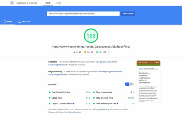 WP Rocket: Meine Einstellungen für Pagespeed 100/100