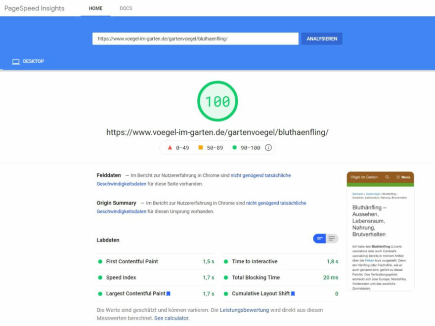 WP Rocket: Meine Einstellungen für Pagespeed 100/100