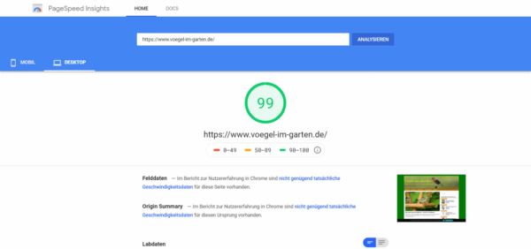 Pagespeed Insights Desktop mit Autoptimize