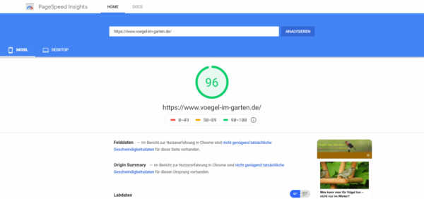 Pagespeed Insights Mobil mit Autoptimize