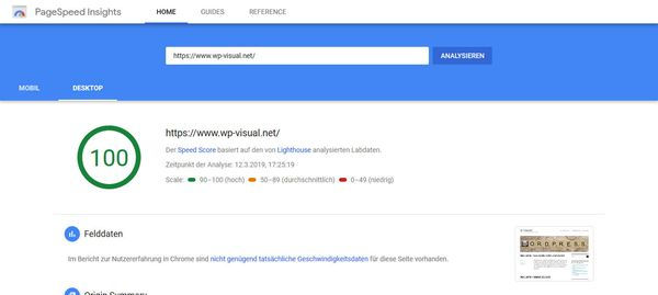 Pagespeed Desktop ohne Cache Plugin