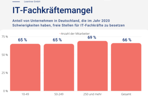 IT-Fachkräftemangel Statistik
