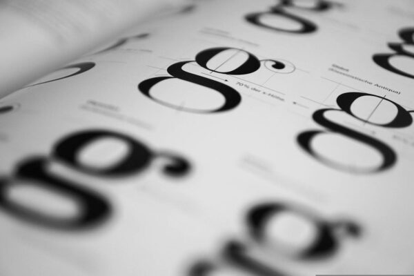 schriftarten google fonts lokal Identifiziere Google Fonts