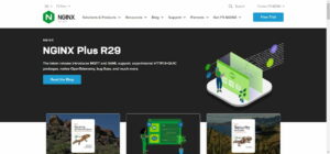 Nginx-Webserver offizielle Webseite Screenshot