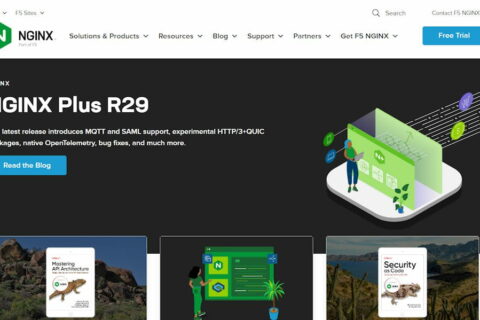 Nginx-Webserver offizielle Webseite Screenshot