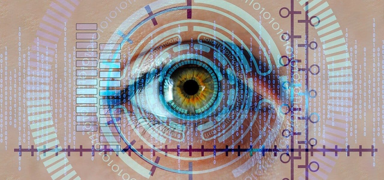 Auge Iris Biometrie