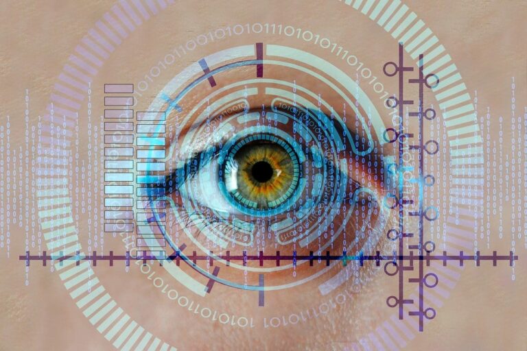 Auge Iris Biometrie