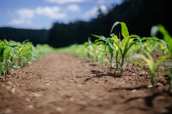 Prozessautomatisierung Landwirtschaft Prozessautomatisierung Landwirtschaft