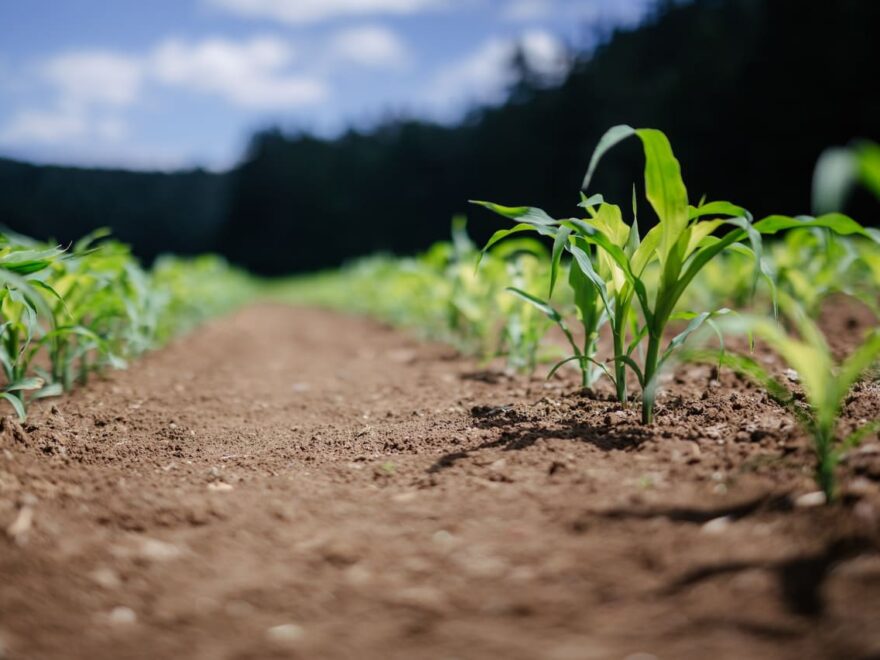 Prozessautomatisierung Landwirtschaft