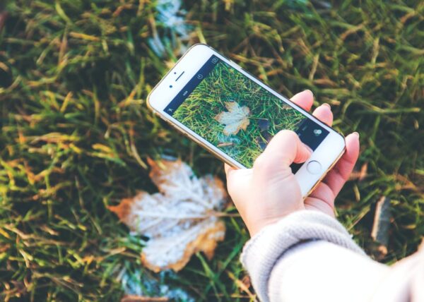 Makrofotografie mit dem Smartphone Makrofotografie mit dem Smartphone