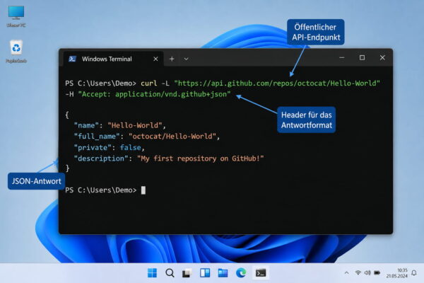 API-Abfrage mit curl und JSON-Antwort im Terminal