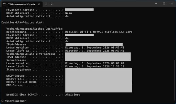 Netzwerkdaten unter Windows 11 mit ipconfig anzeigen