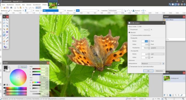 Bildgröße ändern mit Paint.NET – Einfache Schritt-für-Schritt-Anleitung Bildgröße ändern mit Paint.NET: Fenster zeigt Optionen zur Anpassung der Pixelgröße eines Bildes mit einem Schmetterling.