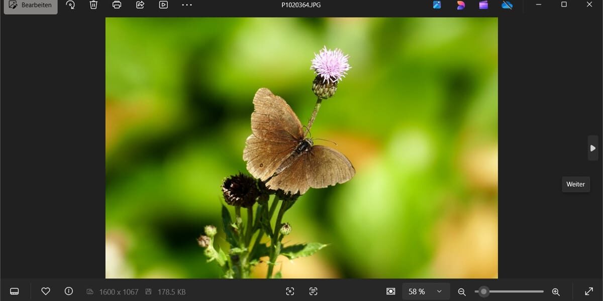 Screenshot der Windows Fotoanzeige beim Öffnen eines Bildes mit Schmetterling auf Blume