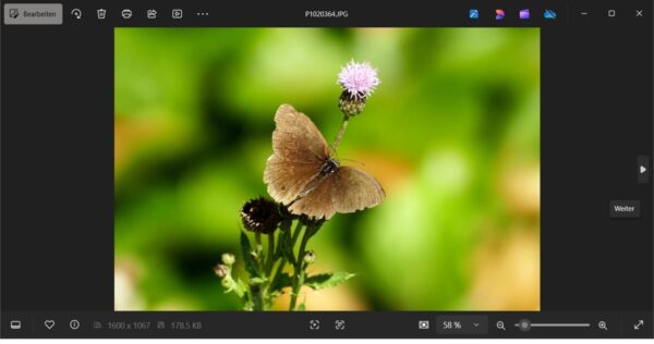 Screenshot der Windows Fotoanzeige beim Öffnen eines Bildes mit Schmetterling auf Blume