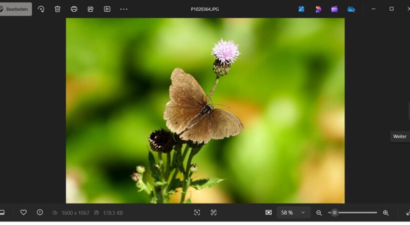 Screenshot der Windows Fotoanzeige beim Öffnen eines Bildes mit Schmetterling auf Blume