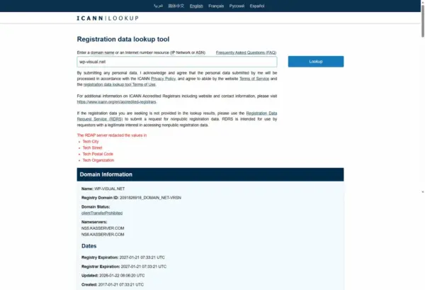 ICANN Lookup Tool zeigt RDAP-Daten einer internationalen Domain