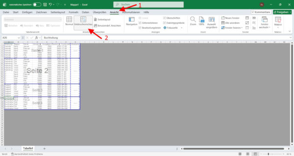 Excel Seitenumbruchvorschau zeigt Seitenaufteilung einer Tabelle mit blauen Linien