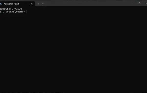 Screenshot des Windows Terminals mit einem aktiven PowerShell 7 Tab.