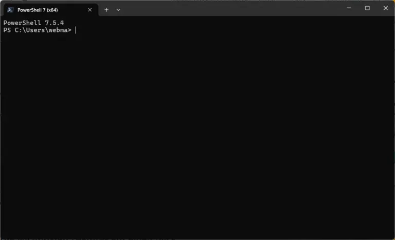 Screenshot des Windows Terminals mit einem aktiven PowerShell 7 Tab.