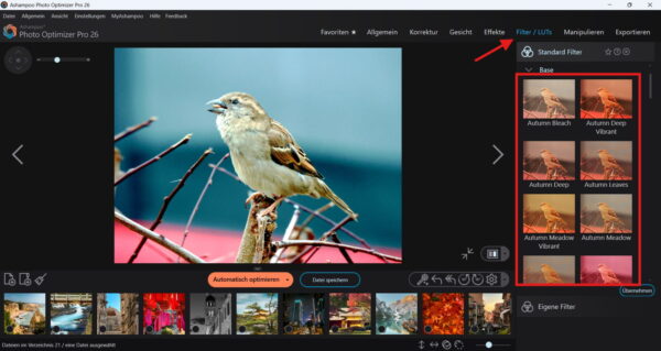LUT-Filter für kreative Bildstimmungen im Photo Optimizer Pro 26 Neue LUT-Filter im Ashampoo Photo Optimizer Pro 26 zur schnellen Bildstimmung