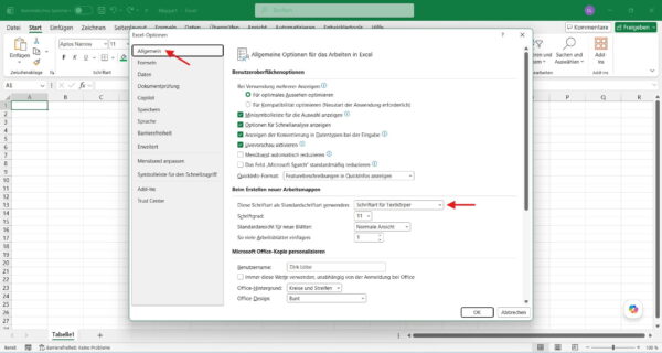 Excel Standardschrift ändern: Screenshot der Excel-Optionen zum Ändern der Standardschrift für neue Arbeitsmappen unter Windows