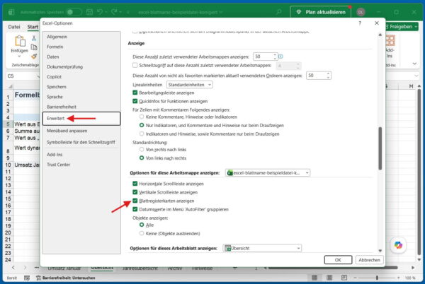 Excel-Blattregisterkarten anzeigen Blattregisterkarten in den Excel-Optionen unter Erweitert anzeigen